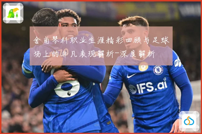 舍甫琴科职业生涯精彩回顾与足球场上的非凡表现解析-深度解析