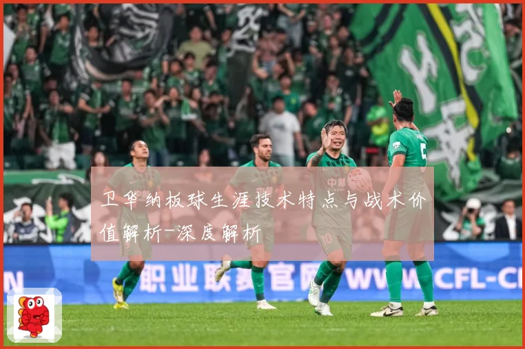 卫华纳板球生涯技术特点与战术价值解析-深度解析