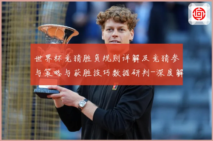 世界杯竞猜胜负规则详解及竞猜参与策略与获胜技巧数据研判-深度解析