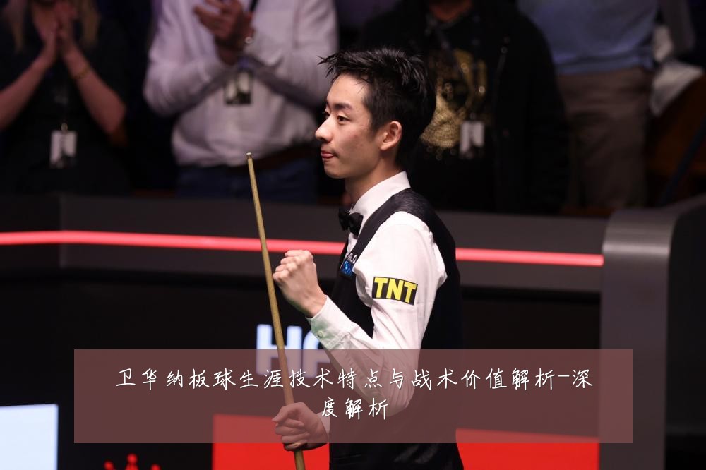 卫华纳板球生涯技术特点与战术价值解析-深度解析