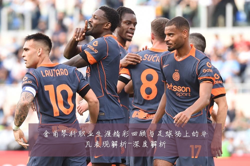 舍甫琴科职业生涯精彩回顾与足球场上的非凡表现解析-深度解析